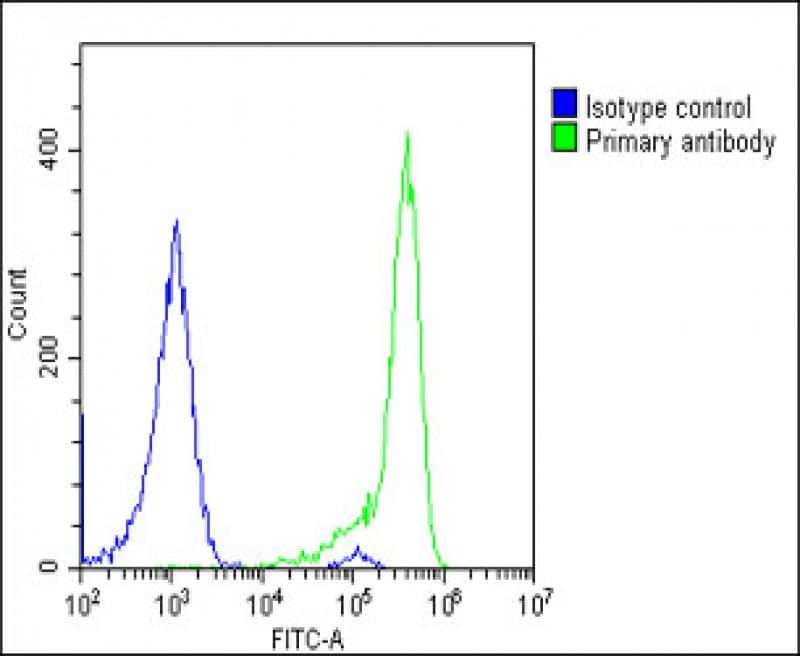 IHC-plus™ TIRC7 / TCIRG1 Antibody (C-Terminus)