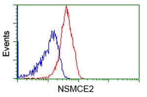 MMS21 / NSMCE2 Antibody (clone OTI6A6, Carrier-free)