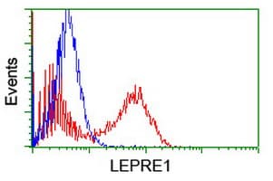 Monoclonal Mouse anti-Human P3H1 / LEPRE1 Antibody (clone OTI1A1, IHC, WB)