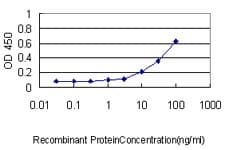 PathPlus™ UCHL1 / PGP9.5 Antibody (clone 1B8-4D2)