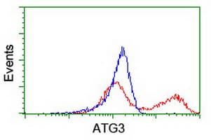 ATG3 Antibody (clone OTI3H1, Carrier-free)