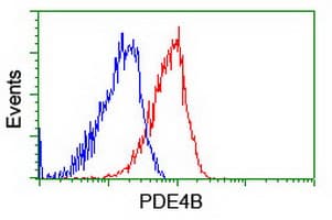 IHC-plus™ PDE4B Antibody (clone 1D12)
