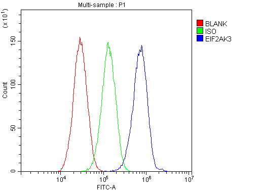 EIF2AK3 / PERK Antibody