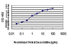 IHC-plus™ Monoclonal Mouse anti-Human SFPQ Antibody (clone 6D7, IHC, IF, WB)