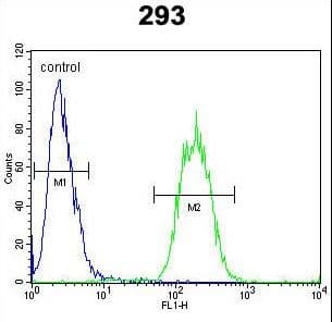 SPACA1 Antibody (aa46-74)