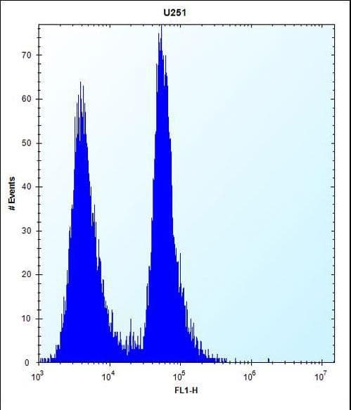 Polyclonal Rabbit anti-Human SEL1L3 Antibody (aa253-282, WB)
