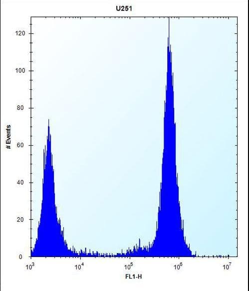 TLR4 Antibody (aa669-698)