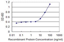 ABCF1 Antibody (clone 1B4)