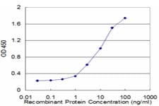 IFNA6 / Interferon Alpha 6 Antibody (clone 3C9)