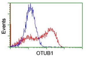 OTUB1 / OTU1 Antibody (clone OTI1A6)
