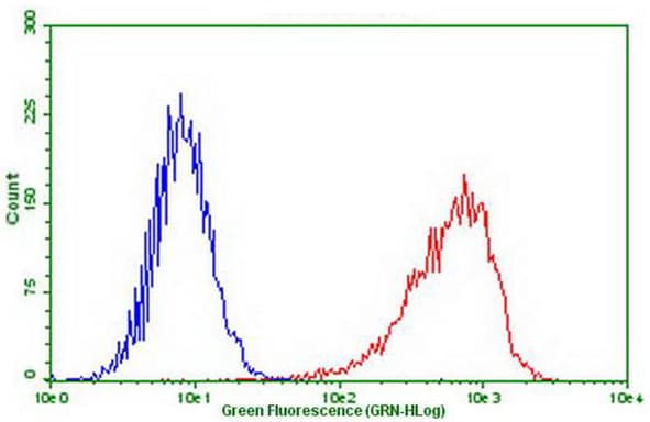 Monoclonal Mouse anti-Human PDCD1 / CD279 / PD-1 Antibody (clone OTI1B11, IF, WB)