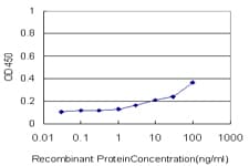 UBE2D3 / UBCH5C Antibody (clone 4C1-1E3)