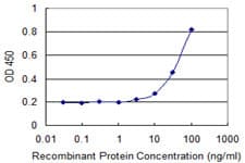 GAMT Antibody (clone 3H4)