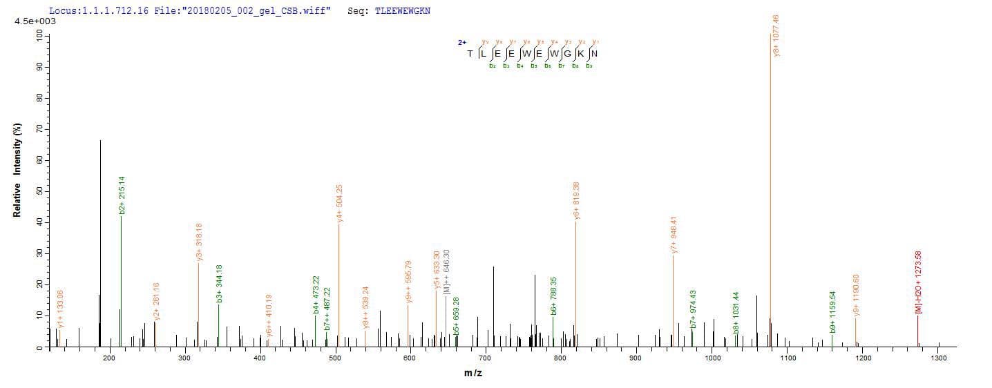 Rotavirus A Non-structural Glycoprotein 4 (Recombinant 6His, N-terminus + Myc, C-terminus)