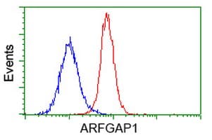 ARFGAP1 Antibody (clone OTI1H6)