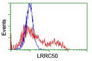 LRRC50 Antibody (clone OTI2C4, Carrier-free)