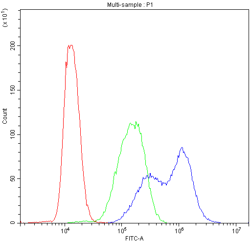 BIK Antibody (aa1-123)