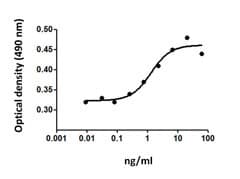 Mouse EPO / Erythropoietin Protein (Recombinant)