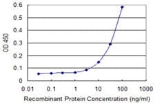 Monoclonal Mouse anti-Human IRF5 Antibody (clone 2G9, IHC, WB)