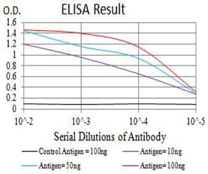 GRM5 / MGLUR5 Antibody (clone 8H5D5)