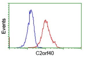 C2orf40 / ECRG4 Antibody (clone OTI3B10)