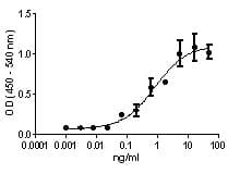 Mouse IL12B + IL23A Heterodimer Protein (Recombinant)