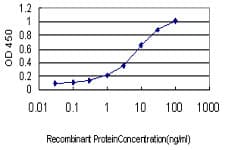 GUCY2D Antibody (clone 4E12)
