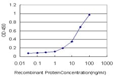 SHH / Sonic Hedgehog Antibody (clone 1B11)