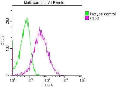 PECAM-1 / CD31 Antibody (clone 9E6E12)