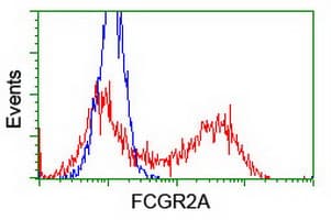 FCGR2 / CD32 Antibody (clone OTI6D11)