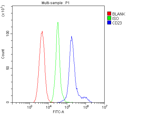 FCER2 / CD23 Antibody (aa50-331)