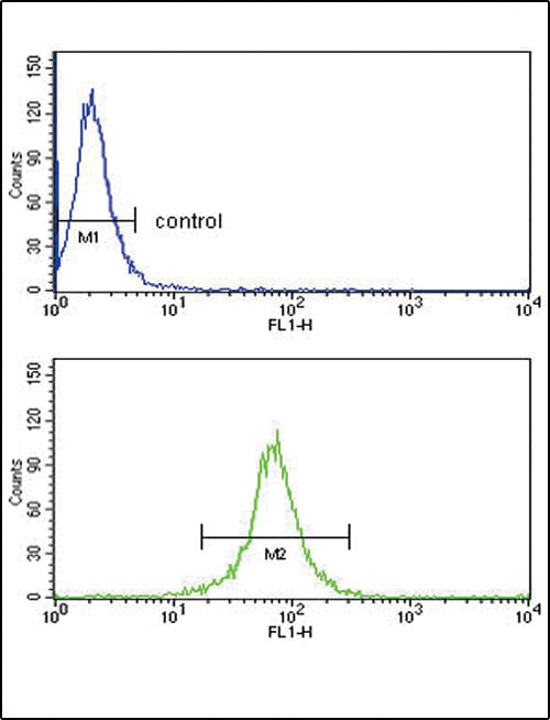 KIR2DL4 Antibody (aa296-323)
