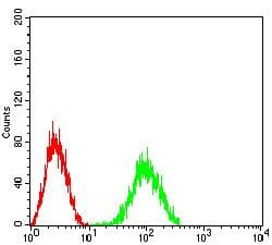 MSR1 / CD204 Antibody (clone 5B8H4)