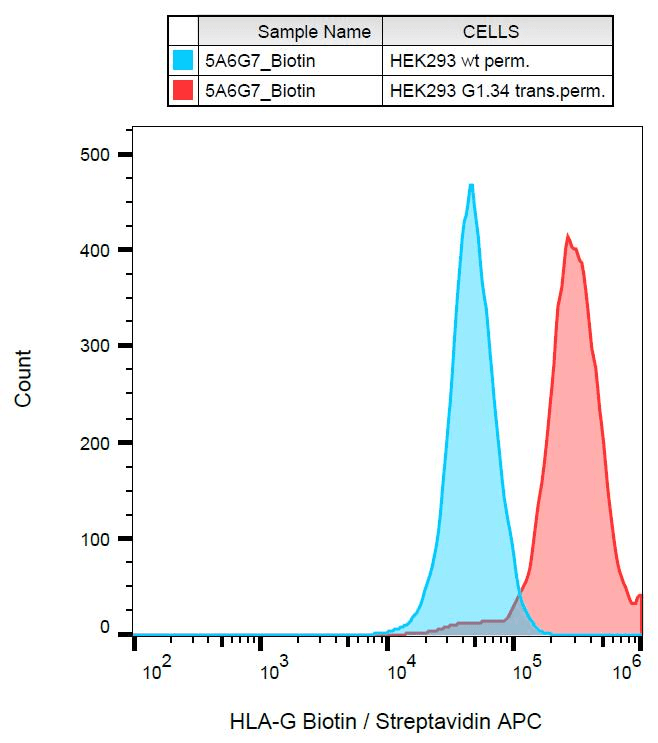 HLA-G Antibody (C-Terminus, clone 5A6G7, Biotin)
