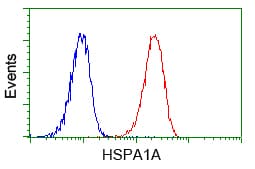 IHC-plus™ Heat Shock Protein 70 / HSPA1A Antibody (clone 5F3)
