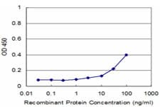 Monoclonal Mouse anti-Human Proteoglycan 4 / Lubricin Antibody (clone 1D5, WB)