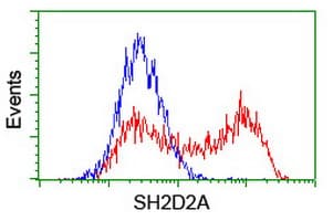 SH2D2A Antibody (clone OTI3C7)
