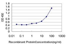XAB2 Antibody (clone 1D1-1A9)