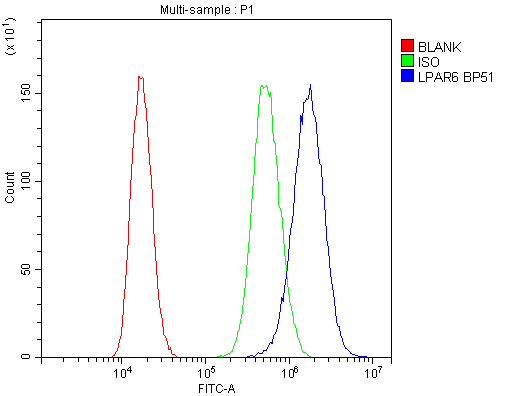 LPAR6 / P2RY5 / P2Y5 Antibody
