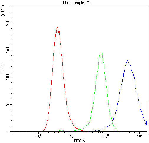 ACLY / ATP Citrate Lyase Antibody