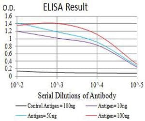 CHRNB2 Antibody (clone 2D12A2)