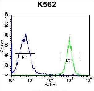 PTMS / Parathymosin Antibody (aa72-102)