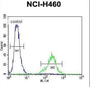 C12orf29 Antibody (aa61-89)