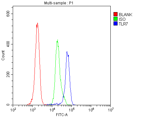TLR7 / CD287 Antibody (aa1020-1047)