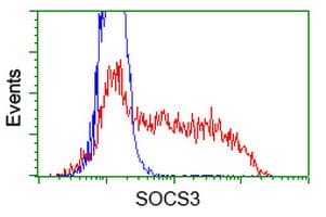 Monoclonal Mouse anti-Human SOCS3 Antibody (clone OTI6F3, WB)
