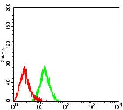 CCR7 Antibody (clone 4B7B8)