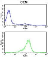 PRDX6 / Peroxiredoxin 6 Antibody (aa197-224)