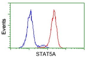 IHC-plus™ STAT5A Antibody (clone 9F7)