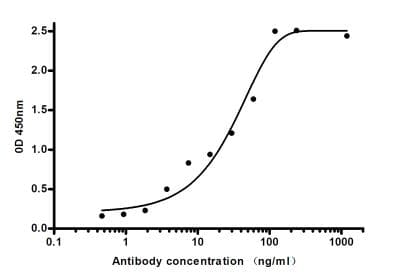 LCN2 / Lipocalin 2 / NGAL Antibody
