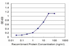CSRP1 Antibody (clone 2A11)